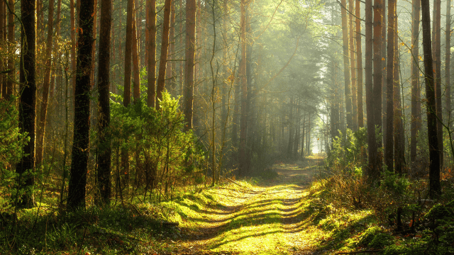 Oracle Redwood UI Brings Change — OGL Brings Confidence